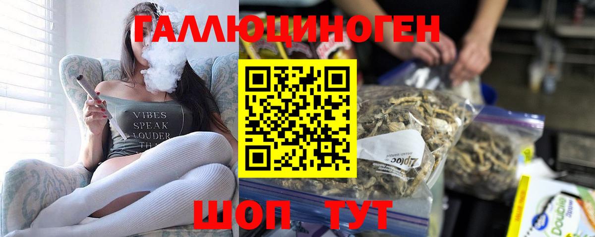 Галлюциногенные грибы Magic Shrooms Бор