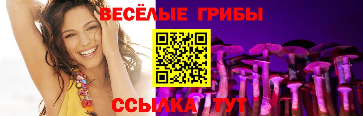 Бор  Галлюциногенные грибы Psilocybine cubensis  купить наркоту  Вход с VPN  Псилоцибиновые грибы GOLDEN TEACHER 